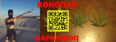 стаф Гай