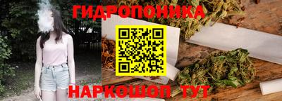 спиды Бийск