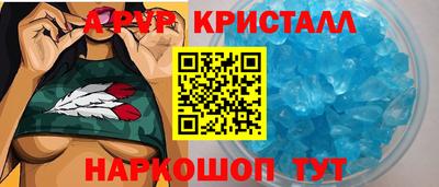 стаф Гай