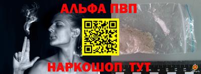 стаф Гай