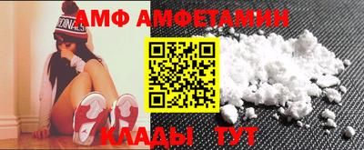 стаф Гай
