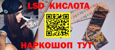 стаф Гай