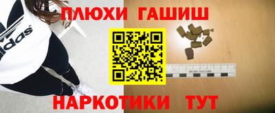 стаф Гай