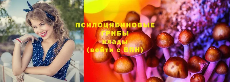 Галлюциногенные грибы GOLDEN TEACHER  хочу   МЕГА зеркало  Георгиевск 