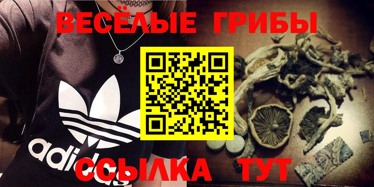 Псилоцибиновые грибы прущие грибы  где найти наркотики  Вход с VPN  Георгиевск  Псилоцибиновые грибы прущие грибы 