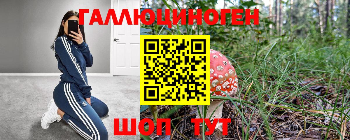 Галлюциногенные грибы Magic Shrooms  Георгиевск  Псилоцибиновые грибы Magic Shrooms 