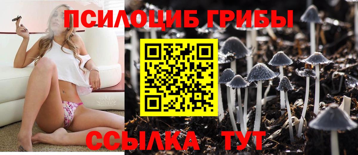 Галлюциногенные грибы ЛСД Георгиевск