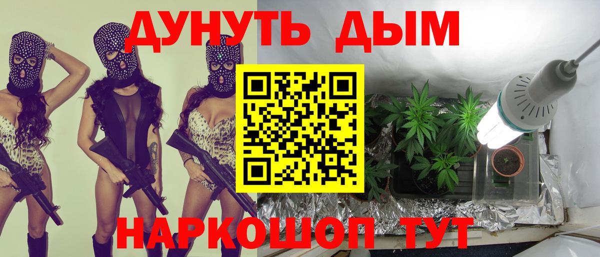 Бошки Шишки ГИДРОПОН  Бошки Шишки OG Kush  Марихуана сатива  Георгиевск 